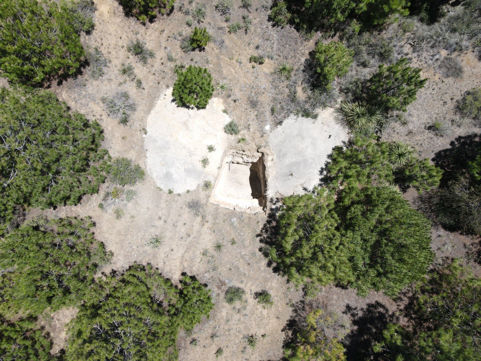 Vista aérea del yacimiento rodeado de bosque
